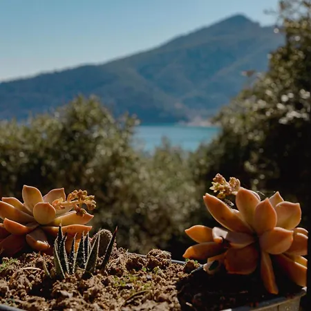 Ocean Breeze アパート クリッシ・アモウディア