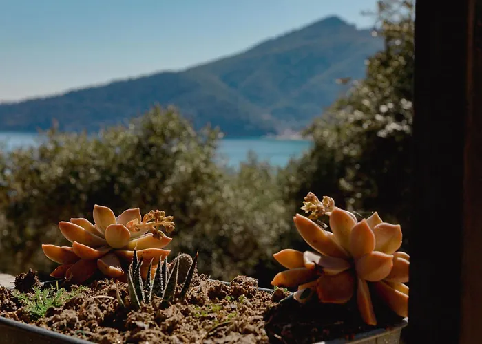 Ocean Breeze Daire Chrysi Ammoudia